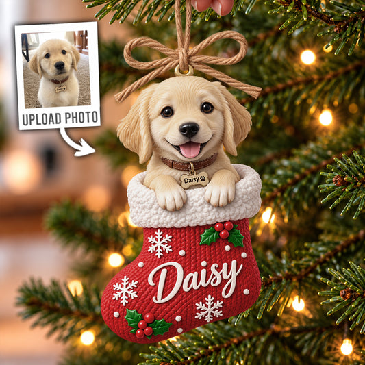 Custom Pet Christmas Stocking Ornament, Xmas Gift for Pet Lovers