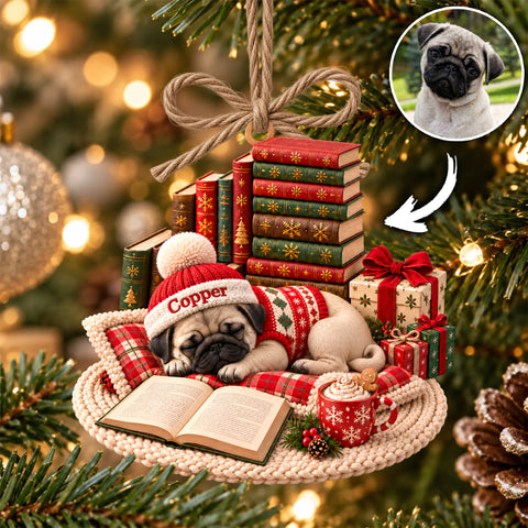 Cozy Custom Pet Sleeping Coffee Book Ornament, Christmas Gift for Pet Lovers