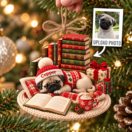 Cozy Custom Pet Sleeping Coffee Book Ornament, Christmas Gift for Pet Lovers